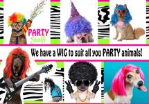 Dress up party wigs